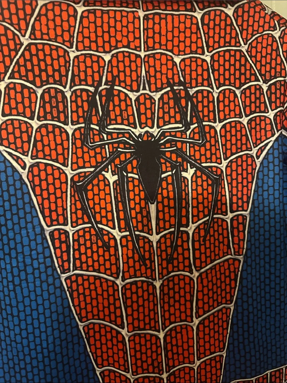 Adult/Youth  Small Spider-Man Costume